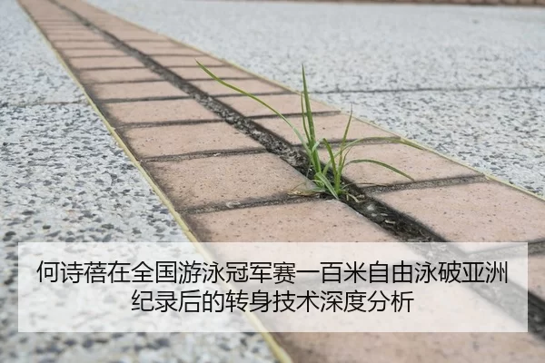何诗蓓在全国游泳冠军赛一百米自由泳破亚洲纪录后的转身技术深度分析